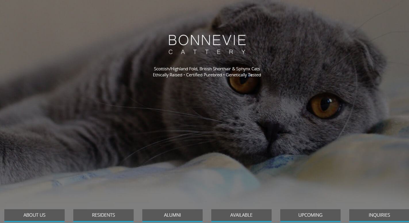 Bonnevie Cattery Website